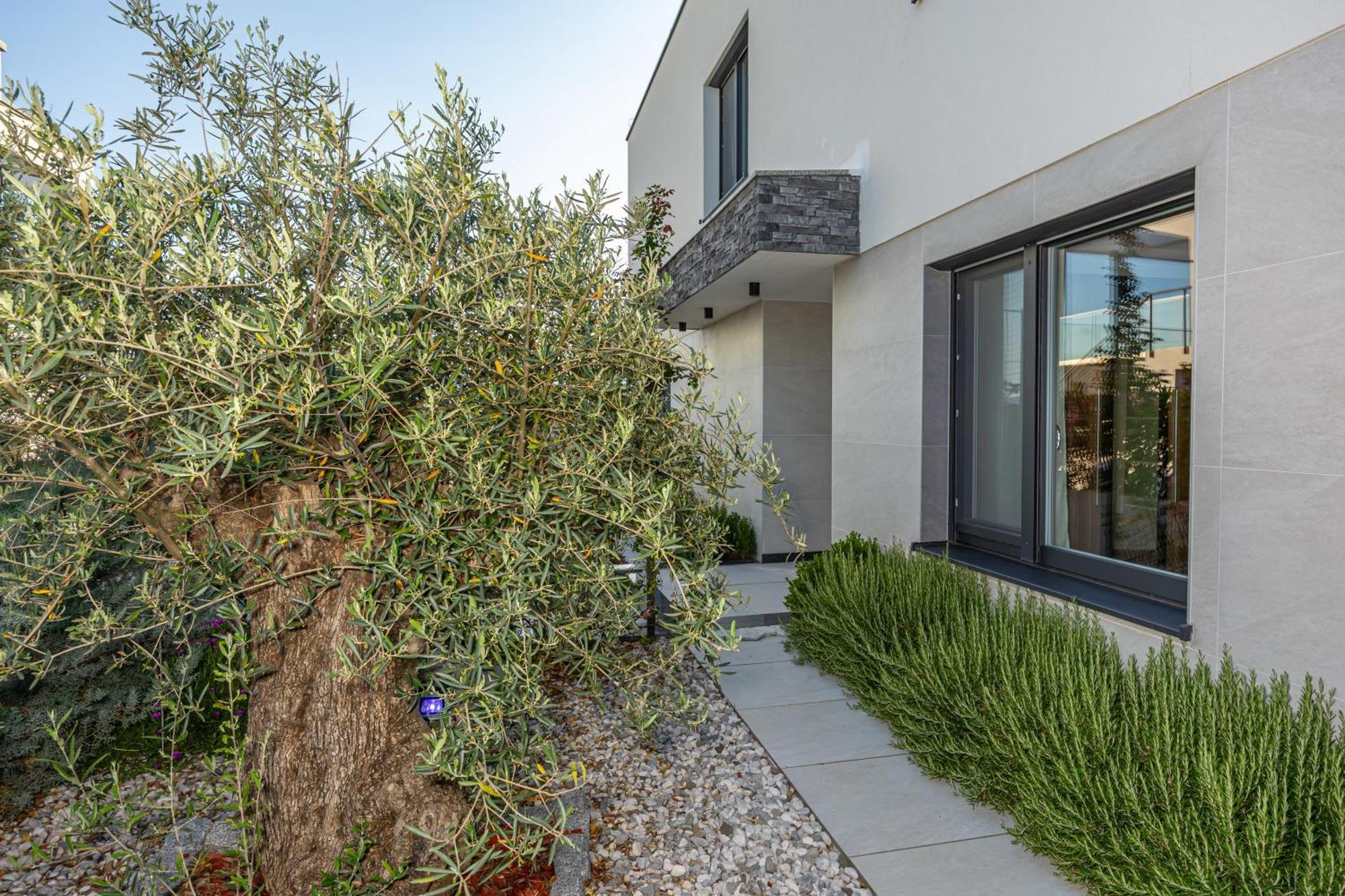 Luxury Villas White Sails Pinezići Kültér fotó
